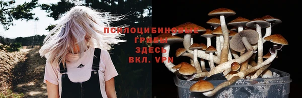 прущий лед Нягань