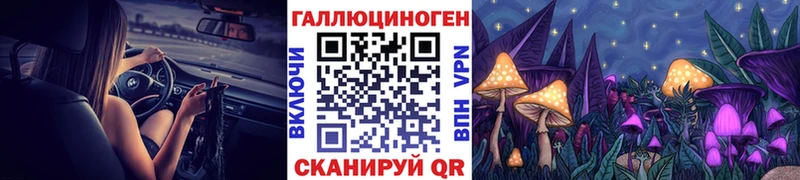 Галлюциногенные грибы Cubensis Купить Саки